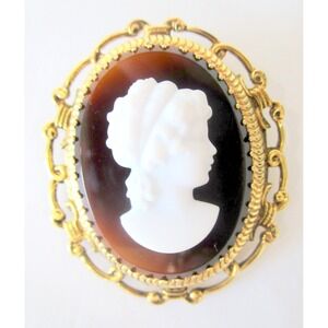Vintage Cameo Brooch Brown White Glaas Dimensional Tall Orante Frame 2.25"